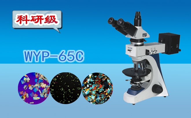 偏光蜜桃传媒AV免费观看麻豆下载的介绍和使用前应进行的检查有哪些
