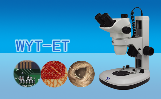 体视蜜桃传媒AV免费观看麻豆下载的发展历史