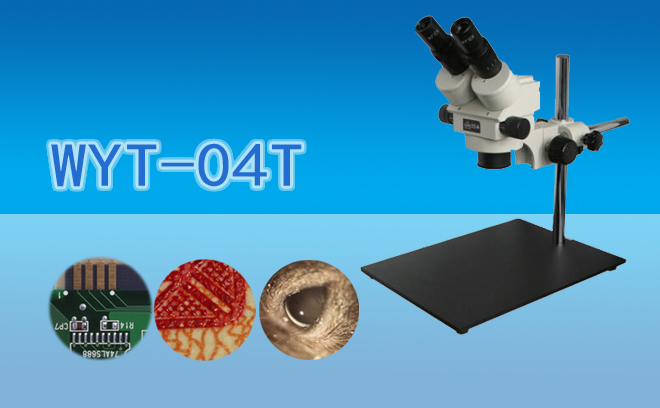 体视蜜桃传媒AV免费观看麻豆下载的光学结构原理