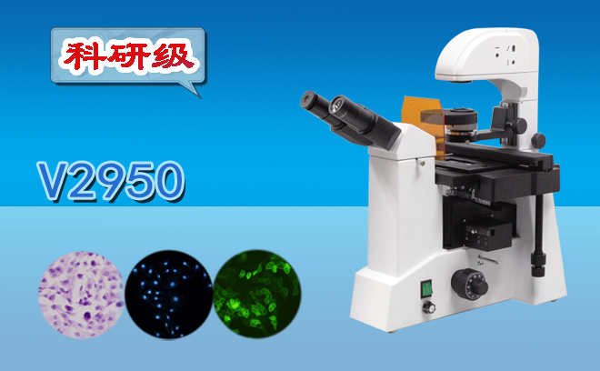 荧光蜜桃传媒AV免费观看麻豆下载和普通蜜桃传媒AV免费观看麻豆下载的区别